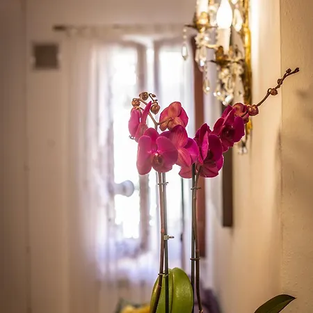 Lovely In Via Della Scala, Trastevere Appartamento *